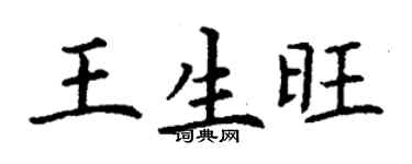 丁謙王生旺楷書個性簽名怎么寫