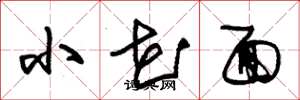 朱錫榮小花面草書怎么寫