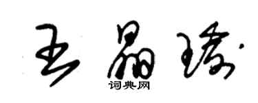 朱錫榮王晶瑜草書個性簽名怎么寫