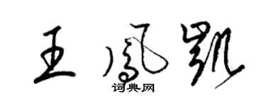 梁錦英王鳳凱草書個性簽名怎么寫