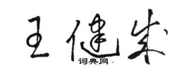 駱恆光王健成草書個性簽名怎么寫