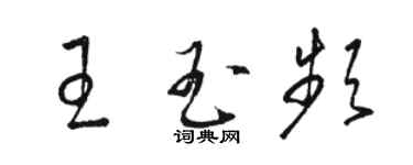 駱恆光王玉頻草書個性簽名怎么寫