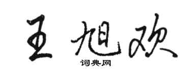 駱恆光王旭歡行書個性簽名怎么寫