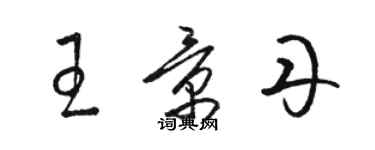 駱恆光王景丹草書個性簽名怎么寫