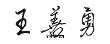 駱恆光王善勇行書個性簽名怎么寫