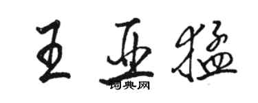 駱恆光王亞猛行書個性簽名怎么寫