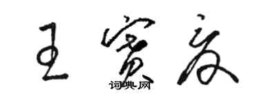 駱恆光王賽夏草書個性簽名怎么寫