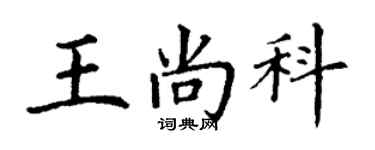 丁謙王尚科楷書個性簽名怎么寫