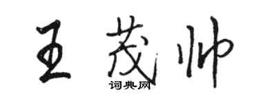 駱恆光王茂帥行書個性簽名怎么寫
