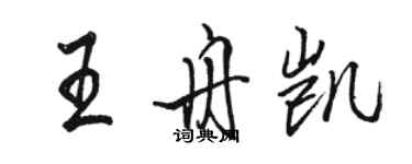 駱恆光王舟凱行書個性簽名怎么寫