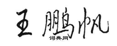 駱恆光王鵬帆行書個性簽名怎么寫
