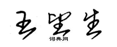 朱錫榮王望生草書個性簽名怎么寫