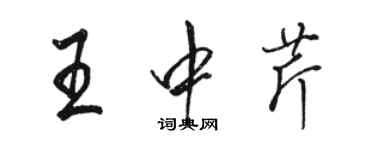 駱恆光王中芹行書個性簽名怎么寫