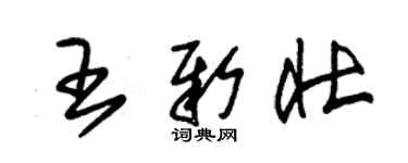 朱錫榮王新壯草書個性簽名怎么寫