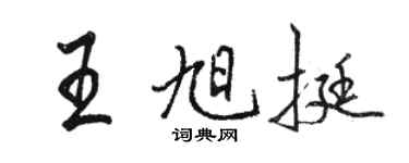 駱恆光王旭挺行書個性簽名怎么寫