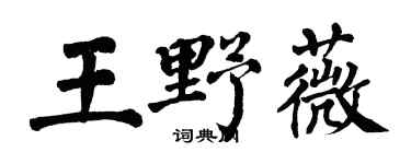 翁闓運王野薇楷書個性簽名怎么寫