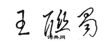 駱恆光王聯蜀草書個性簽名怎么寫