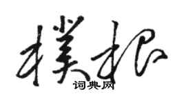 駱恆光朴根草書個性簽名怎么寫