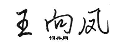 駱恆光王向鳳行書個性簽名怎么寫