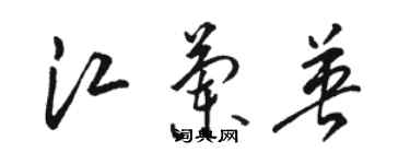 駱恆光江蘭英草書個性簽名怎么寫