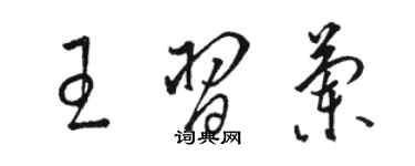 駱恆光王習蘭草書個性簽名怎么寫