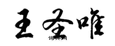 胡問遂王聖唯行書個性簽名怎么寫