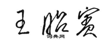 駱恆光王昭賓草書個性簽名怎么寫