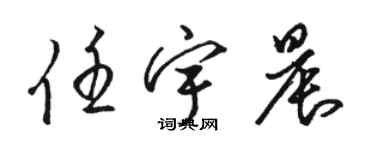 駱恆光任宇晨草書個性簽名怎么寫