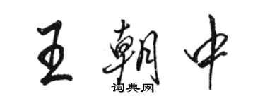 駱恆光王朝中行書個性簽名怎么寫