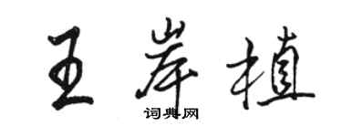 駱恆光王岸植行書個性簽名怎么寫
