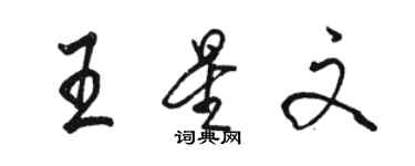 駱恆光王星文行書個性簽名怎么寫