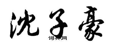 胡問遂沈子豪行書個性簽名怎么寫