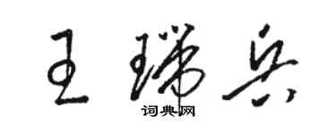 駱恆光王瑞兵草書個性簽名怎么寫