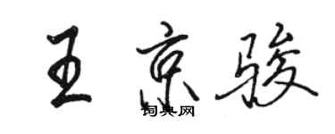 駱恆光王京駿行書個性簽名怎么寫