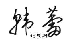 駱恆光韓蕾草書個性簽名怎么寫