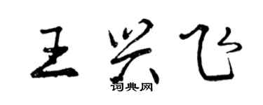 曾慶福王興飛行書個性簽名怎么寫