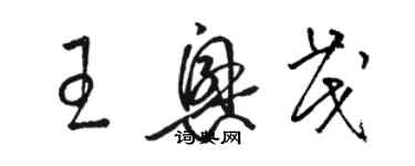 駱恆光王興茂草書個性簽名怎么寫