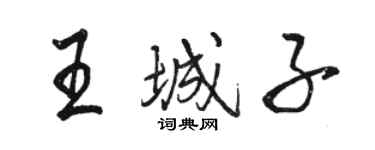 駱恆光王城子行書個性簽名怎么寫