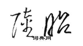 駱恆光陸昭草書個性簽名怎么寫