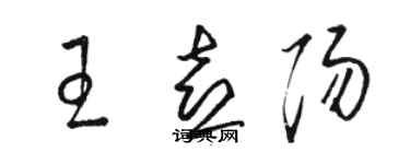 駱恆光王喜陽草書個性簽名怎么寫