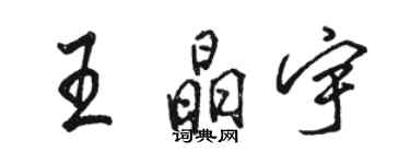 駱恆光王晶宇行書個性簽名怎么寫