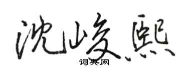 駱恆光沈峻熙行書個性簽名怎么寫