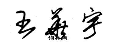 朱錫榮王華宇草書個性簽名怎么寫