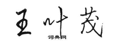 駱恆光王葉茂行書個性簽名怎么寫