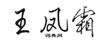 駱恆光王鳳霜行書個性簽名怎么寫