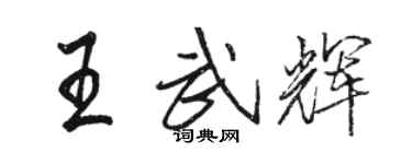 駱恆光王武輝行書個性簽名怎么寫