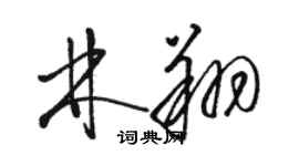 駱恆光林翔草書個性簽名怎么寫