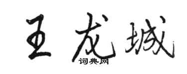 駱恆光王龍城行書個性簽名怎么寫