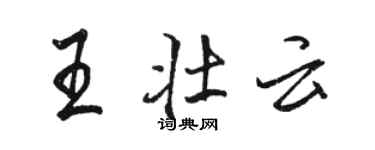 駱恆光王壯雲行書個性簽名怎么寫