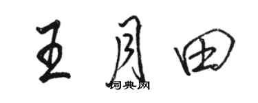 駱恆光王月田行書個性簽名怎么寫